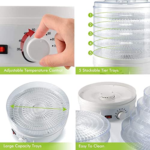 Versatile Food Dehydrator with 5 Stackable Trays for Healthy Snacks