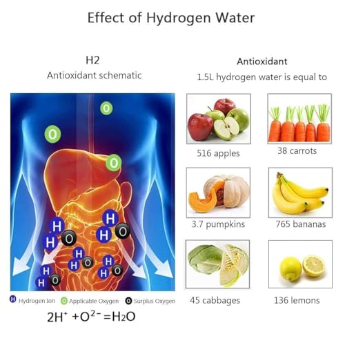 Hydrogen Water Bottle with Advanced Electrolysis Technology, High Borosilicate Glass, Leak-Proof Design, 420ml… | Indiakartz