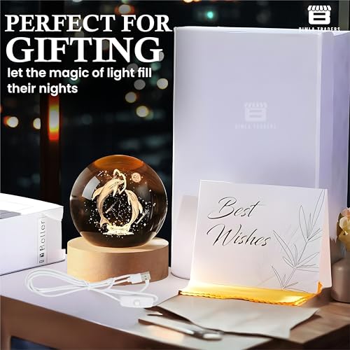 3D Dolphin Crystal Ball Night Lamp | Stylish LED Table Light